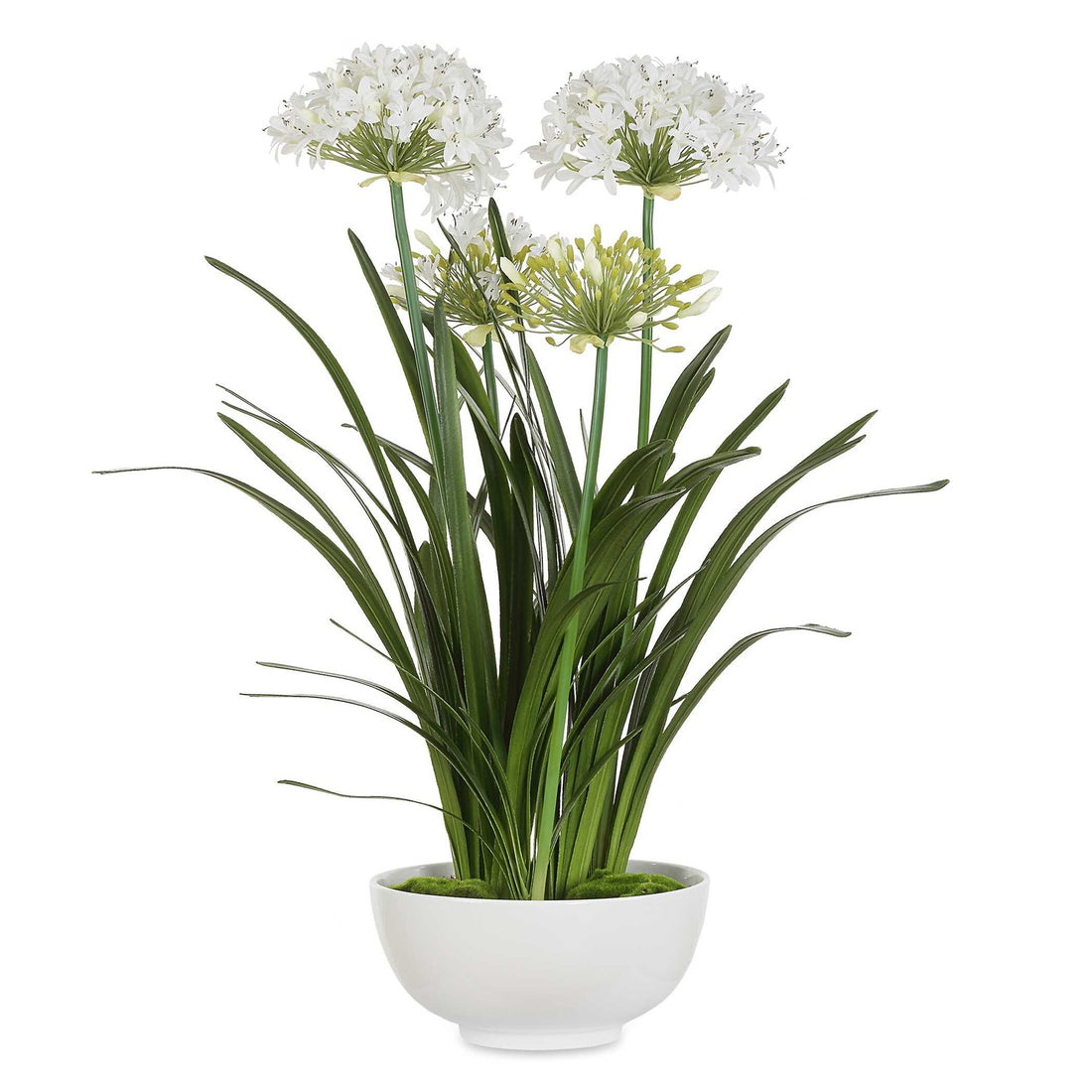 UTTERMOST PURITY AGAPANTHUS CENTERPIECE - Decorative Accents