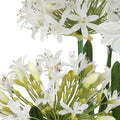 UTTERMOST Purity Agapanthus Centerpiece - Decorative Accents