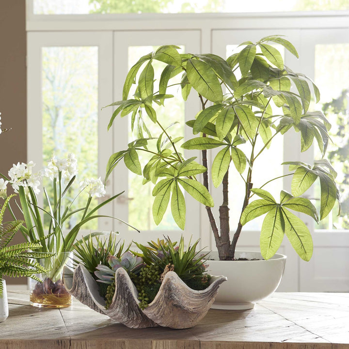 UTTERMOST PACHIRA MONEY TREE - Decorative Accents