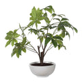 UTTERMOST PACHIRA MONEY TREE - Decorative Accents