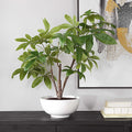 UTTERMOST Pachira Money Tree - Decorative Accents