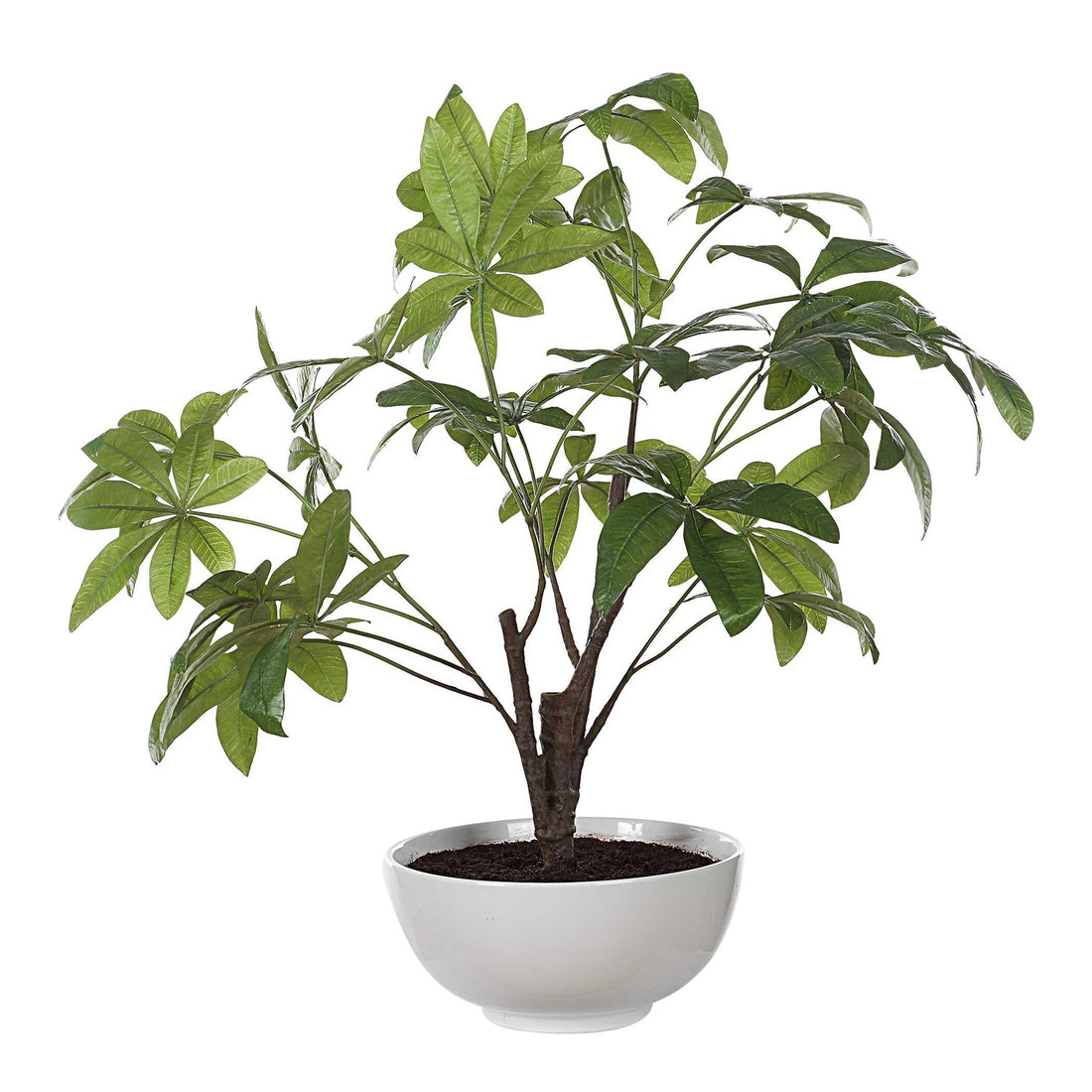 UTTERMOST Pachira Money Tree - Decorative Accents