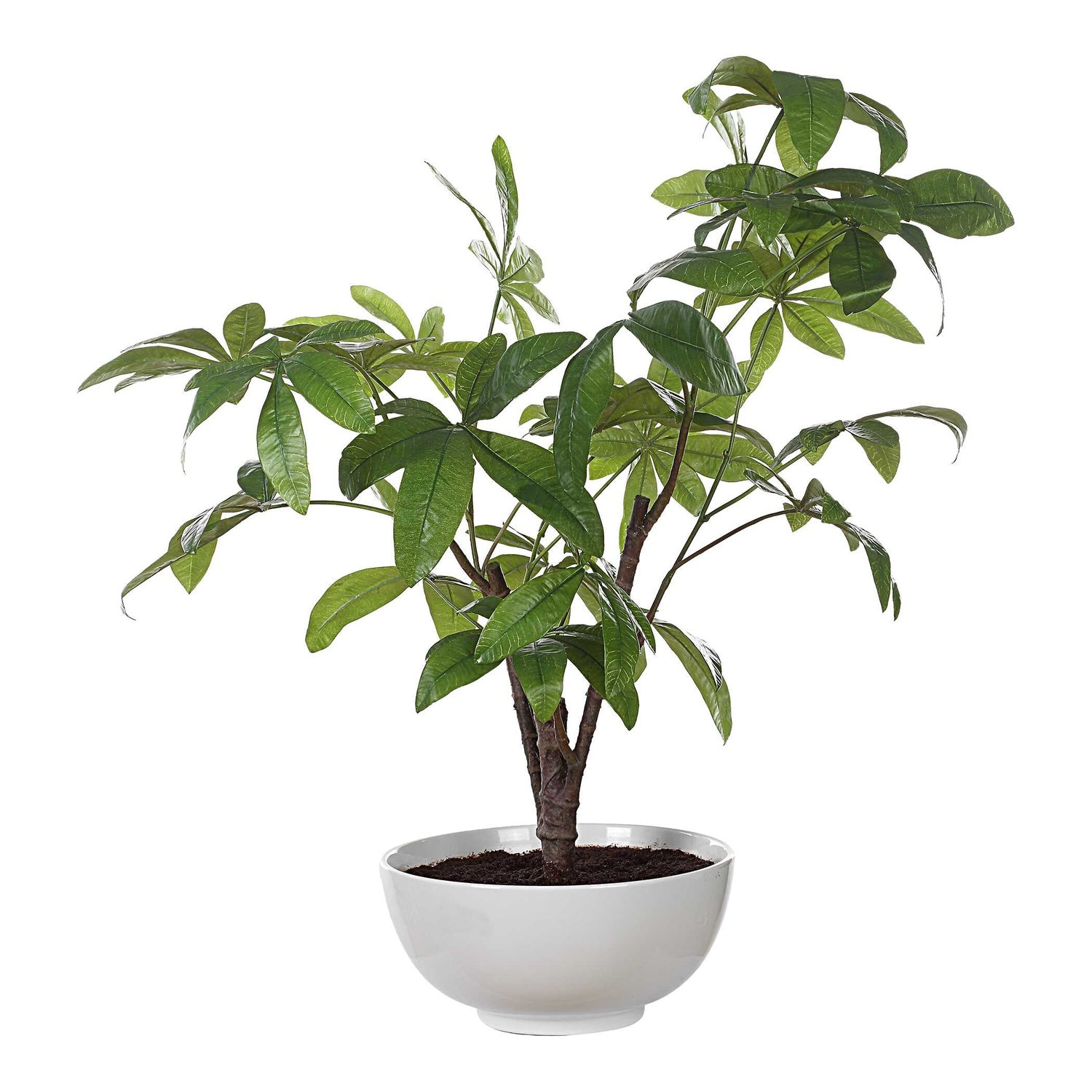 UTTERMOST PACHIRA MONEY TREE - Decorative Accents