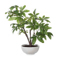 UTTERMOST PACHIRA MONEY TREE - Decorative Accents
