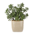 UTTERMOST Crassula Jade Accent Plant - Decorative Accents