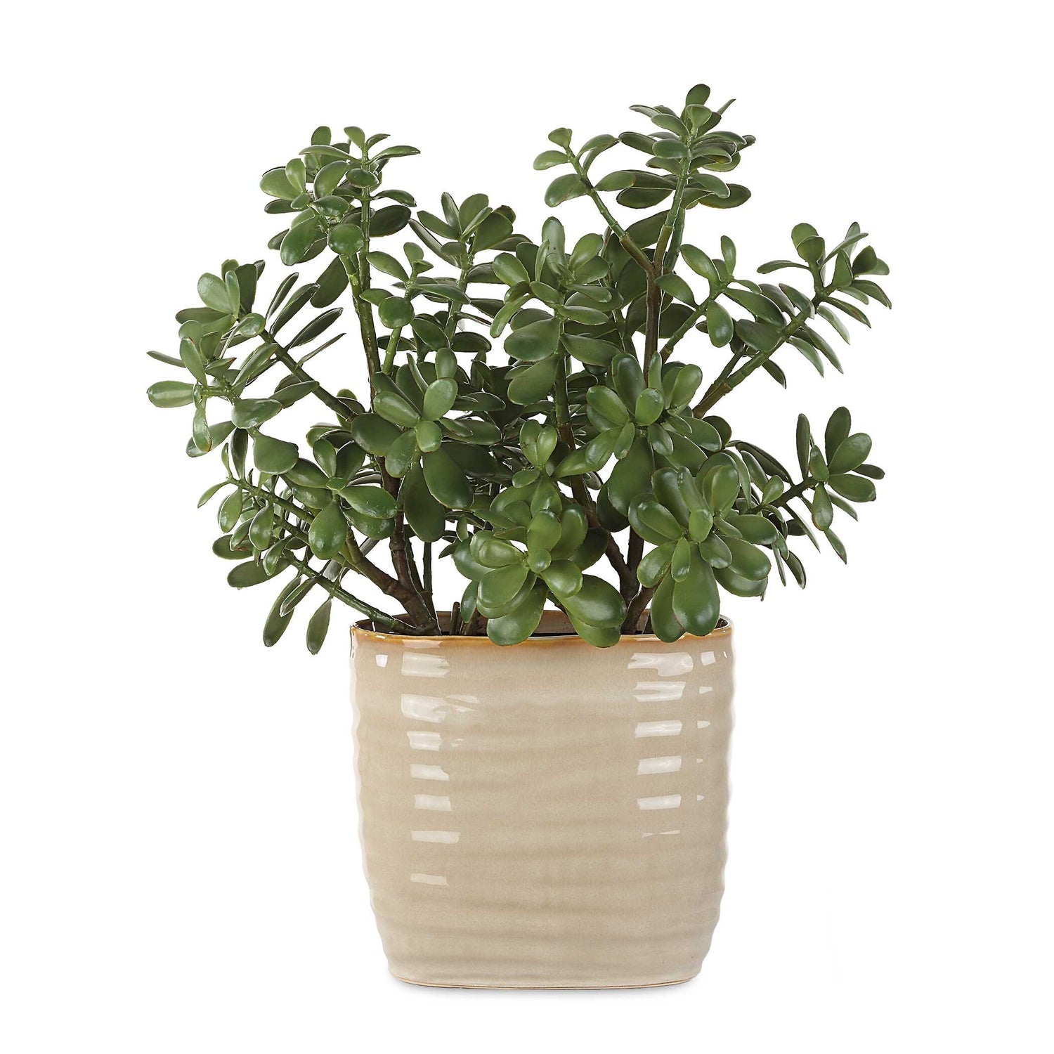 UTTERMOST Crassula Jade Accent Plant - Decorative Accents
