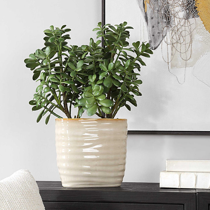 UTTERMOST Crassula Jade Accent Plant - Decorative Accents