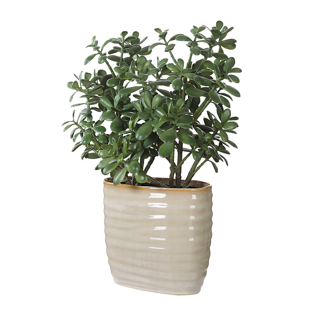 UTTERMOST Crassula Jade Accent Plant - Decorative Accents