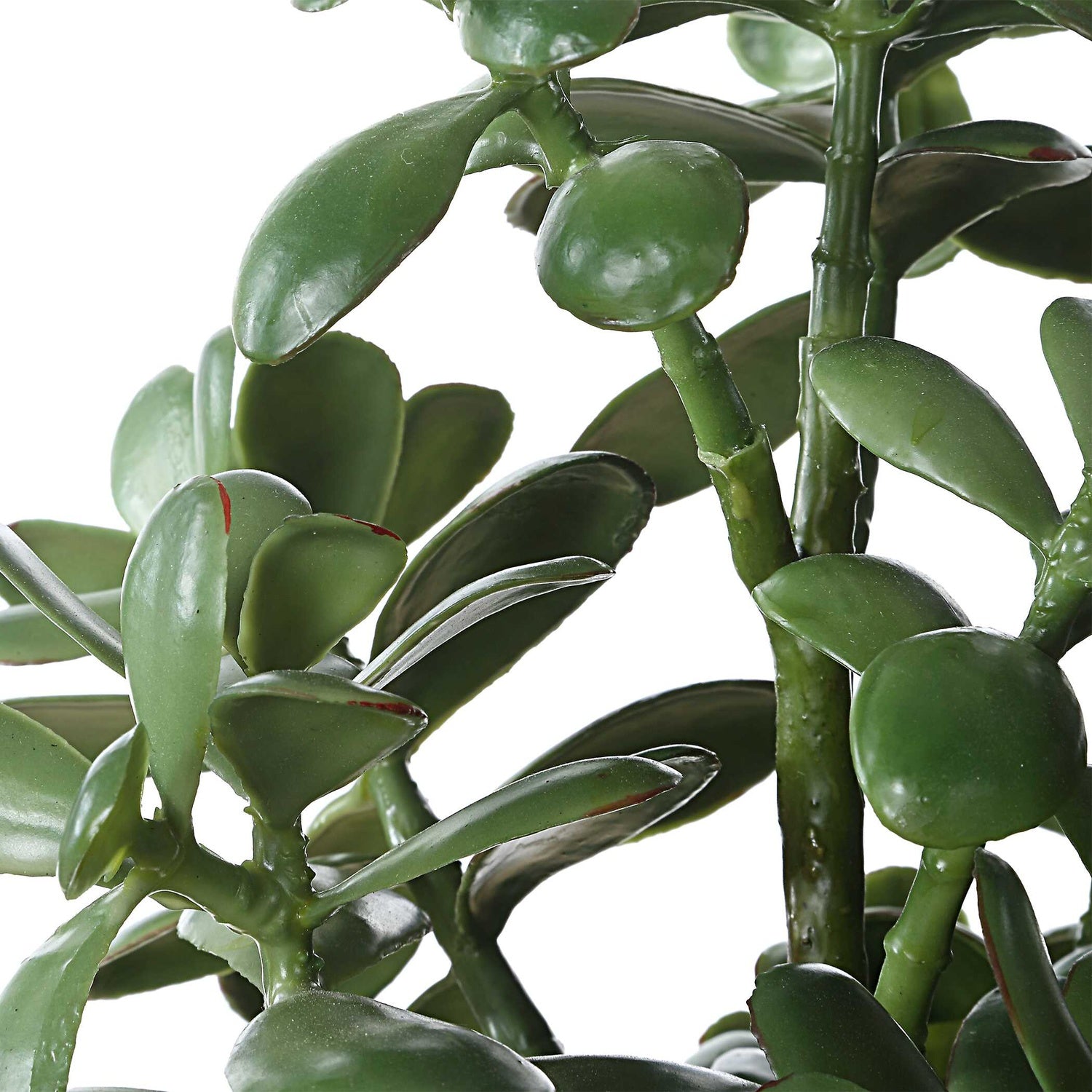 UTTERMOST Crassula Jade Accent Plant - Decorative Accents