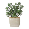 UTTERMOST CRASSULA JADE ACCENT PLANT - Decorative Accents