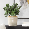 UTTERMOST Crassula Jade Accent Plant - Decorative Accents