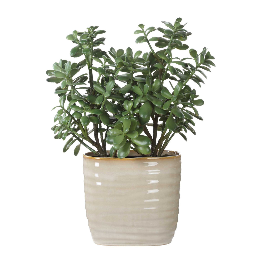 UTTERMOST Crassula Jade Accent Plant - Decorative Accents