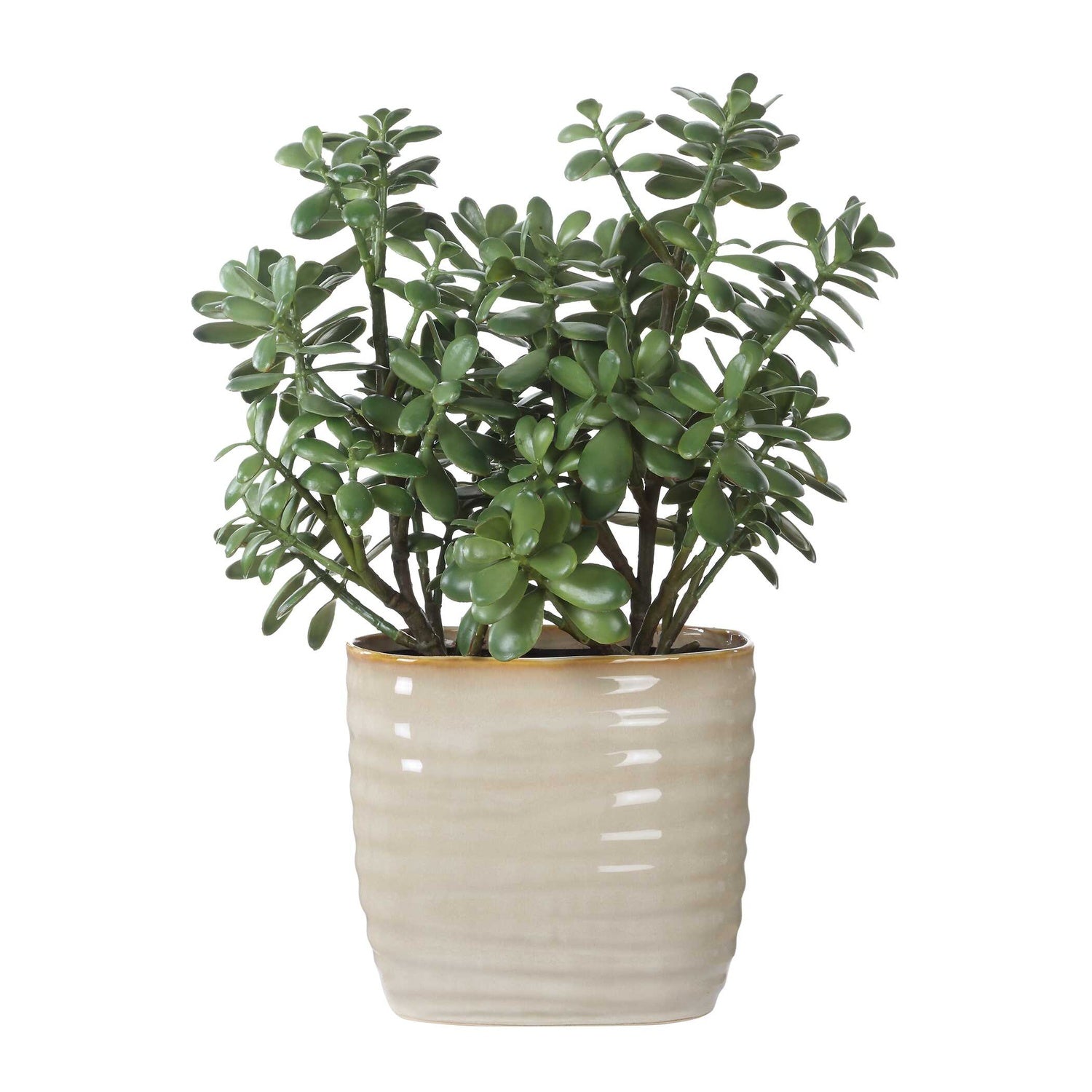UTTERMOST Crassula Jade Accent Plant - Decorative Accents