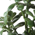 UTTERMOST Crassula Jade Accent Plant - Decorative Accents