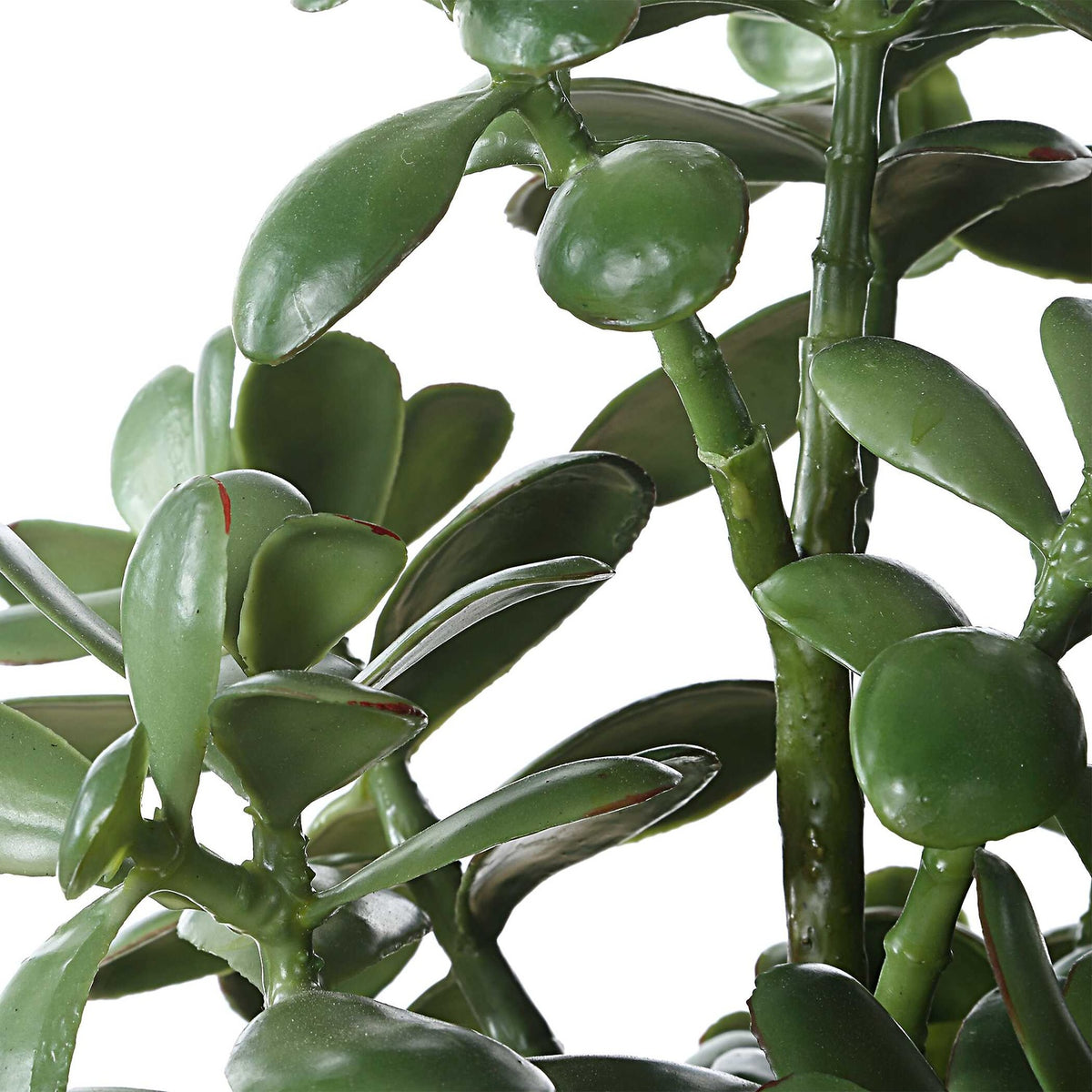 UTTERMOST Crassula Jade Accent Plant - Decorative Accents