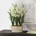UTTERMOST ARIANA ORCHID PLANTER - Decorative Accents