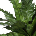 UTTERMOST VERDURE FERN - Decorative Accents