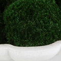 UTTERMOST Awaken Moss Centerpiece - Decorative Accents