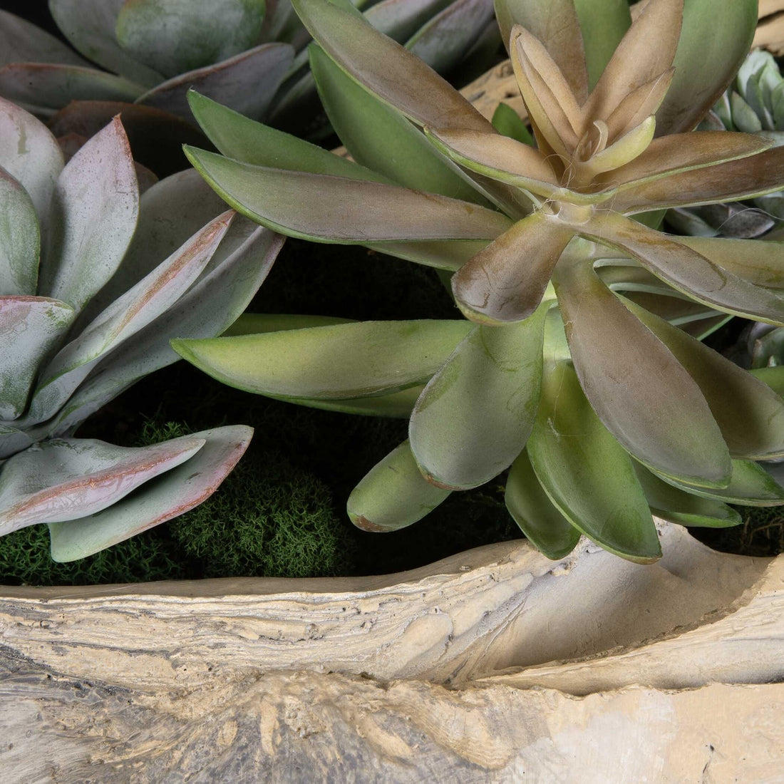 UTTERMOST Seaside Breeze Succulents - Decorative Accents