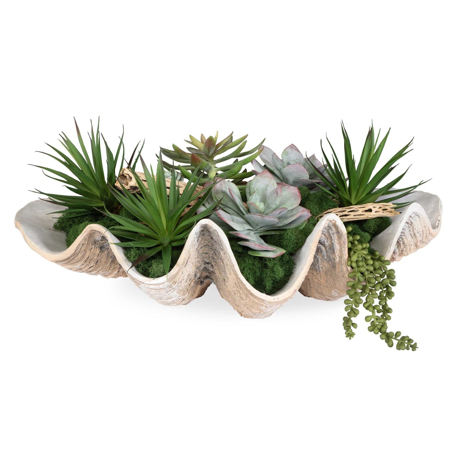 UTTERMOST Seaside Breeze Succulents - Decorative Accents