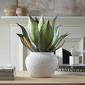 UTTERMOST TIERRA AGAVE CENTERPIECE - Decorative Accents