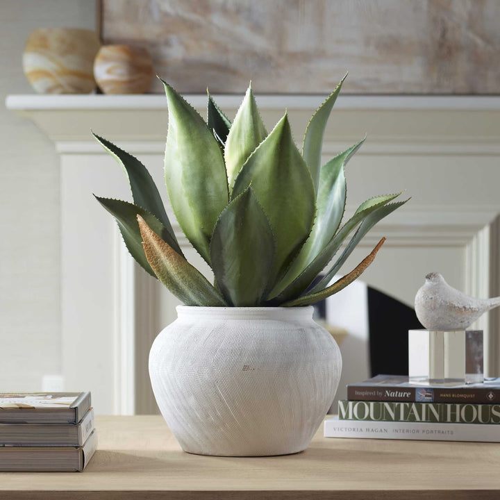 UTTERMOST TIERRA AGAVE CENTERPIECE - Decorative Accents