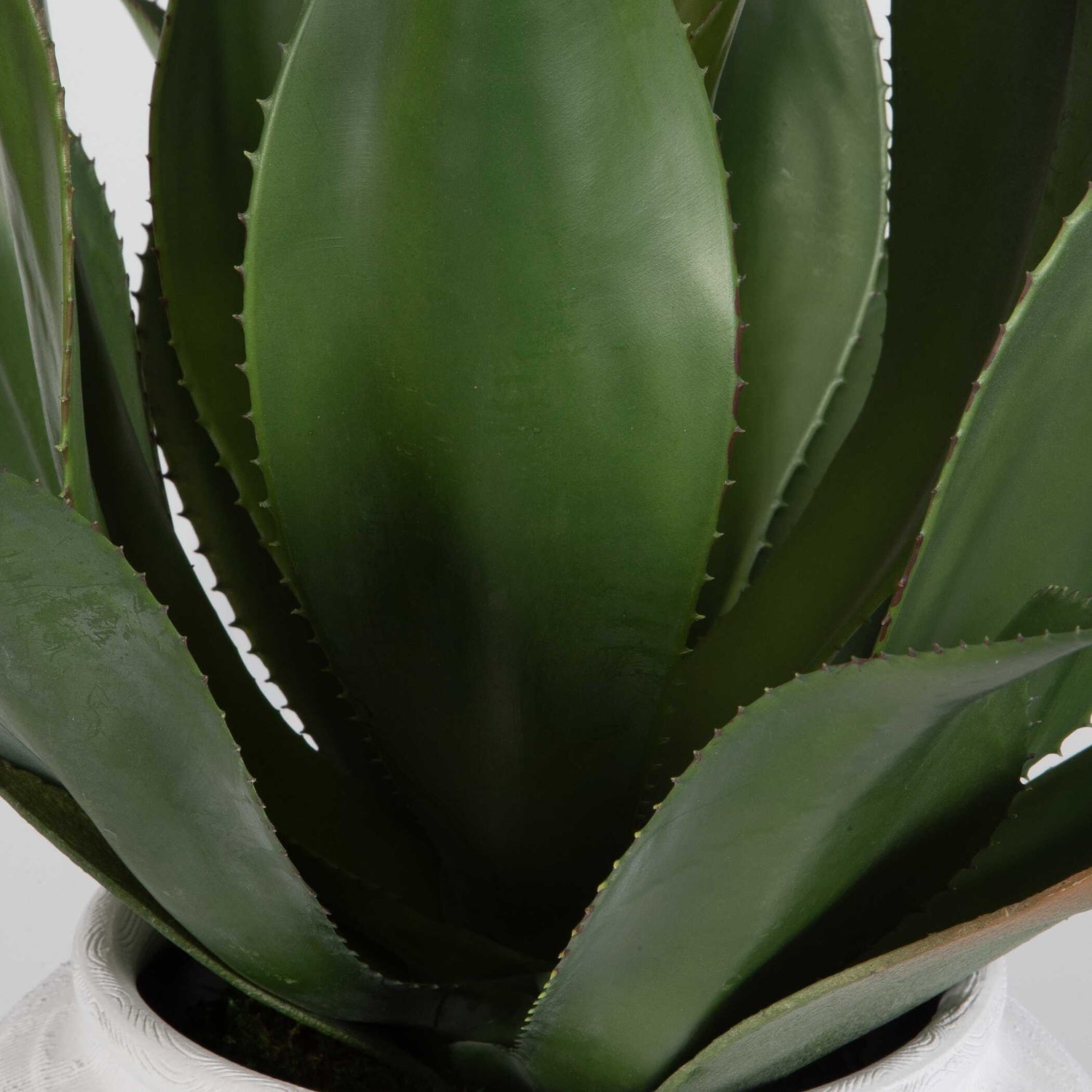 UTTERMOST TIERRA AGAVE CENTERPIECE - Decorative Accents