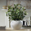 UTTERMOST ELENA OLIVE CENTERPIECE - Decorative Accents