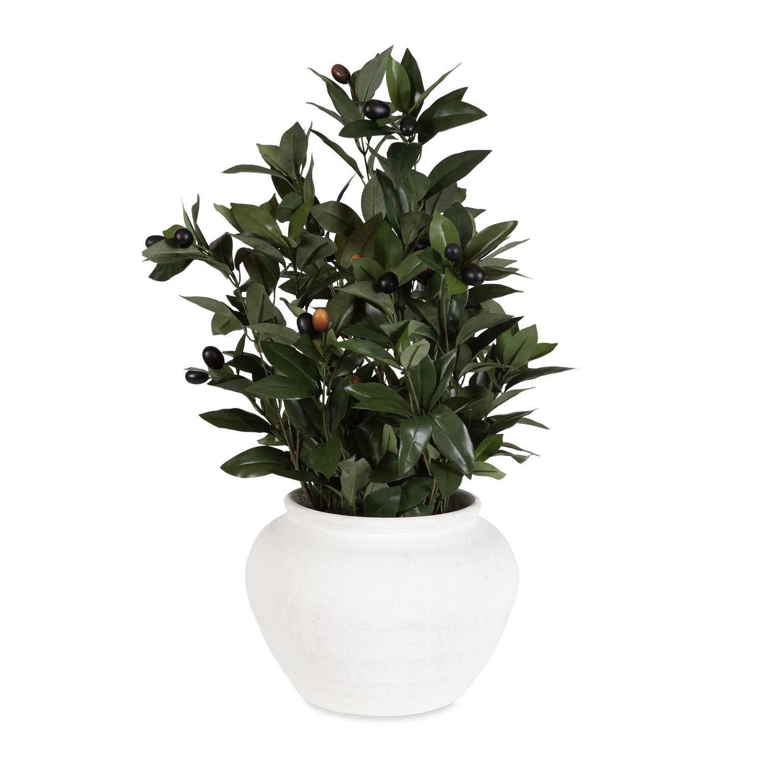 UTTERMOST ELENA OLIVE CENTERPIECE - Decorative Accents