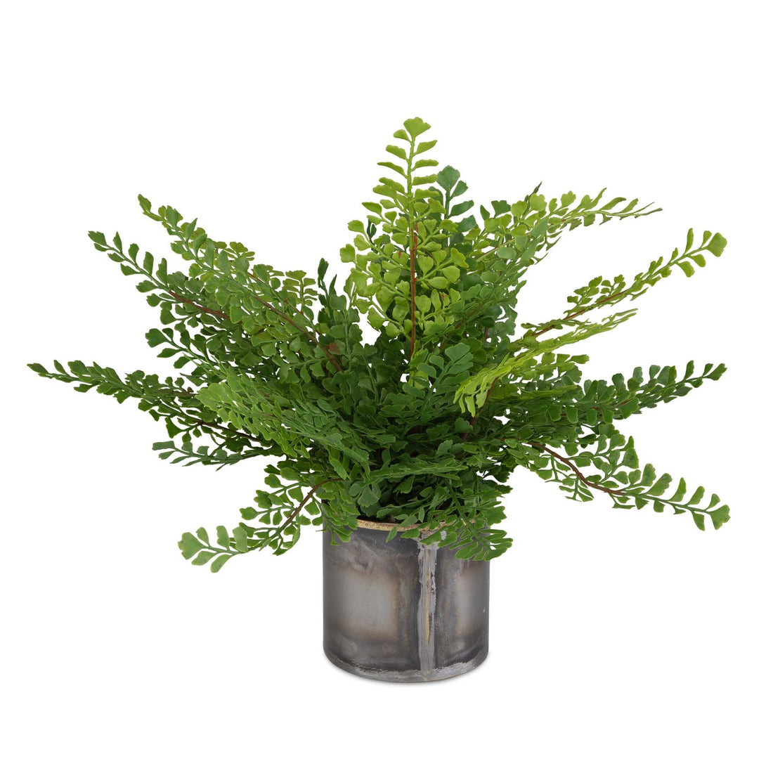 UTTERMOST Maidenhair Fern - Decorative Accents