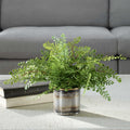 UTTERMOST Maidenhair Fern - Decorative Accents