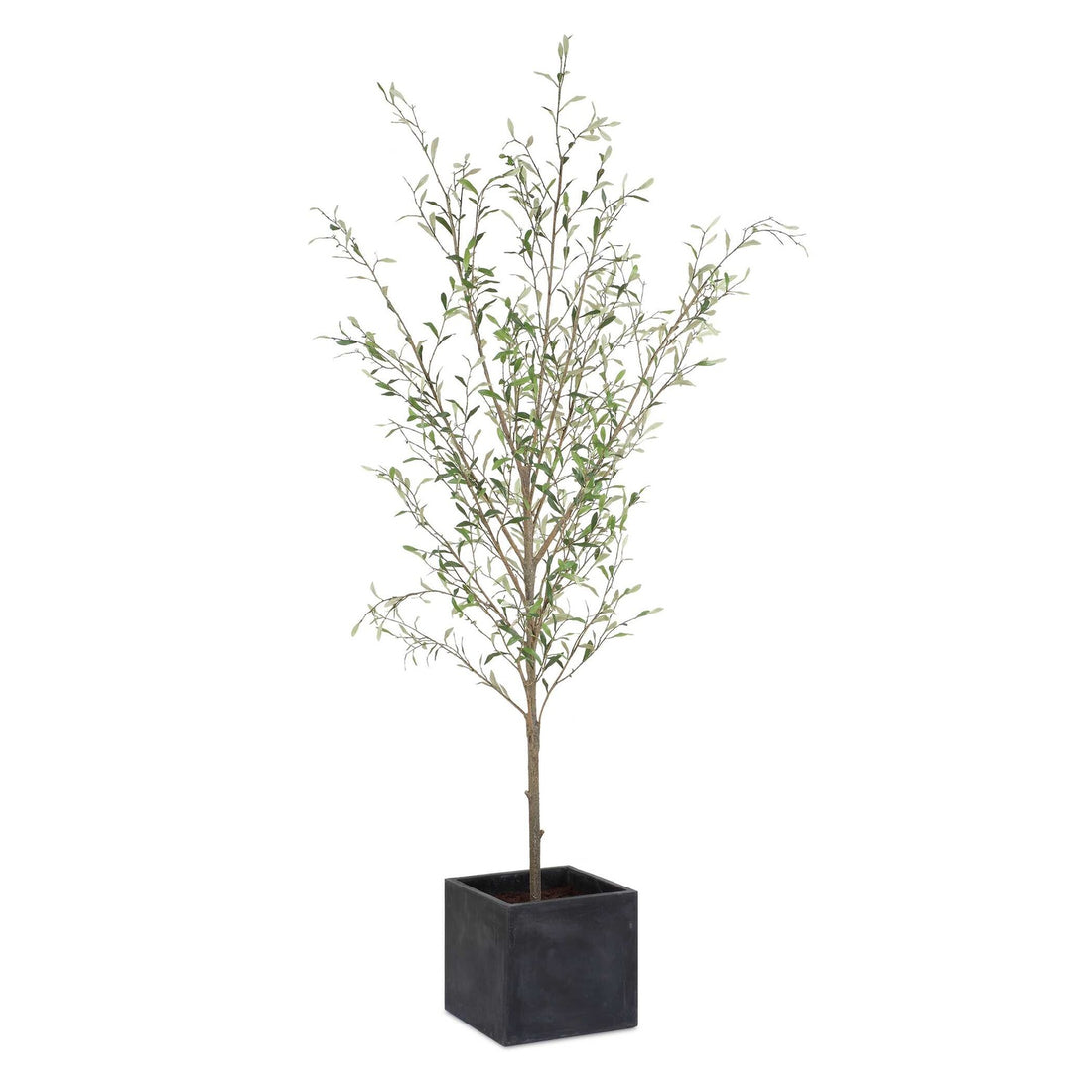 UTTERMOST Abundance Potted Olive Tree - Decorative Accents