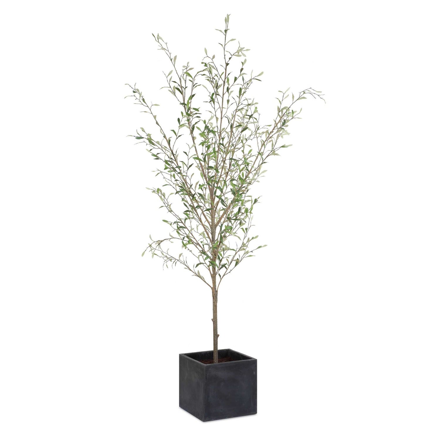 UTTERMOST Abundance Potted Olive Tree - Decorative Accents