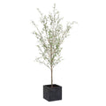 UTTERMOST ABUNDANCE POTTED OLIVE TREE - Decorative Accents