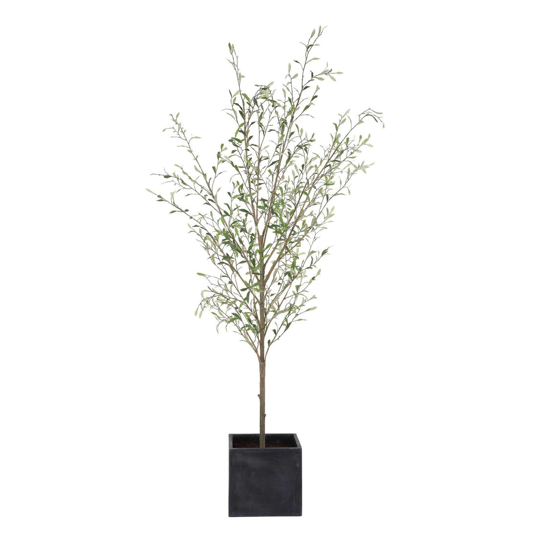 UTTERMOST Abundance Potted Olive Tree - Decorative Accents
