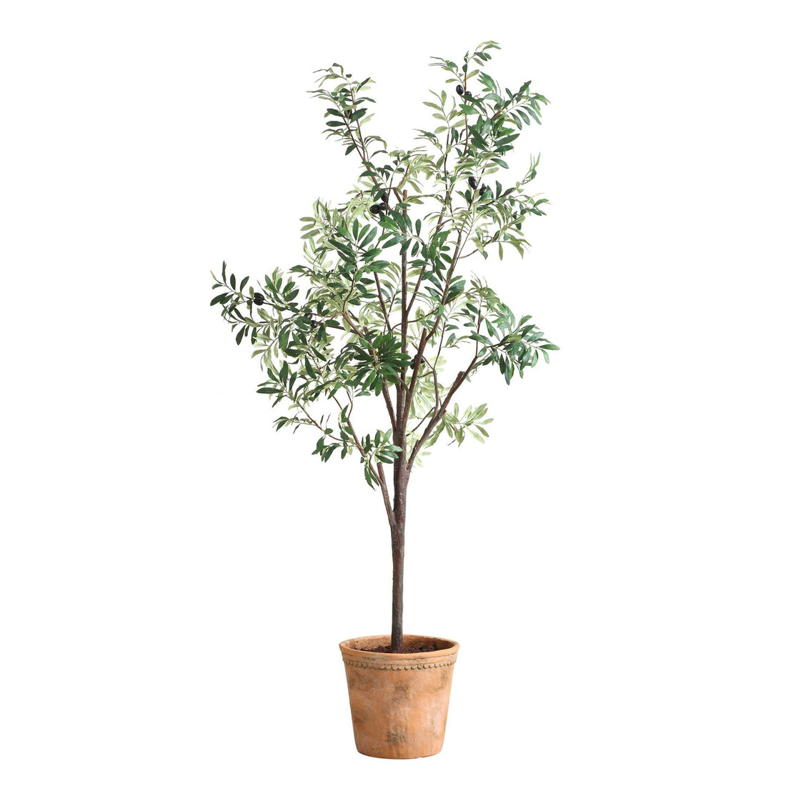 UTTERMOST Olea Potted Olive Tree - Decorative Accents