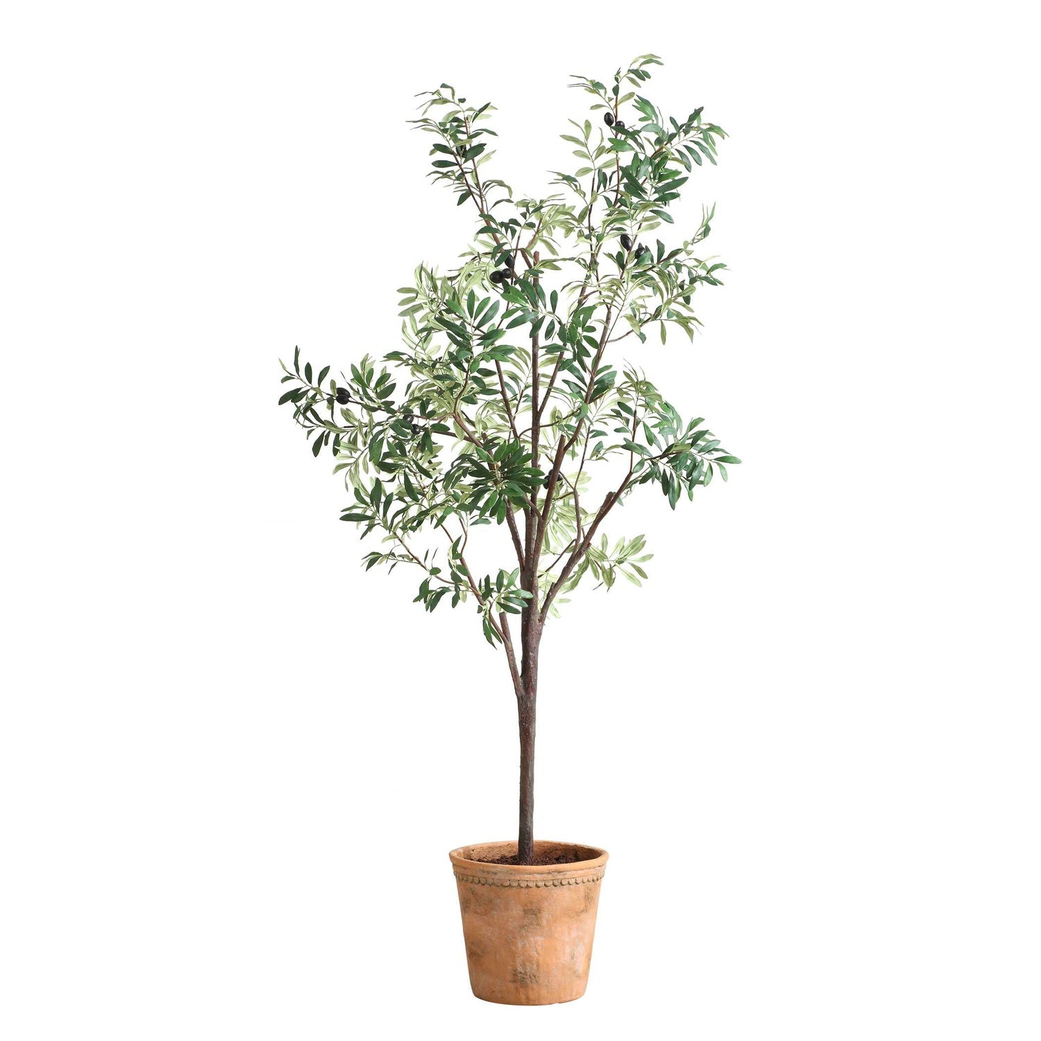 UTTERMOST Olea Potted Olive Tree - Decorative Accents