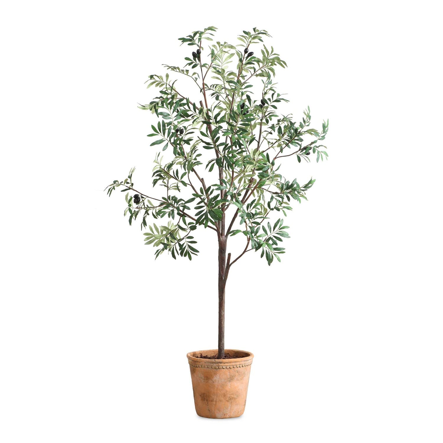UTTERMOST OLEA POTTED OLIVE TREE - Decorative Accents