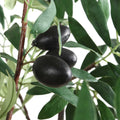 UTTERMOST OLEA POTTED OLIVE TREE - Decorative Accents