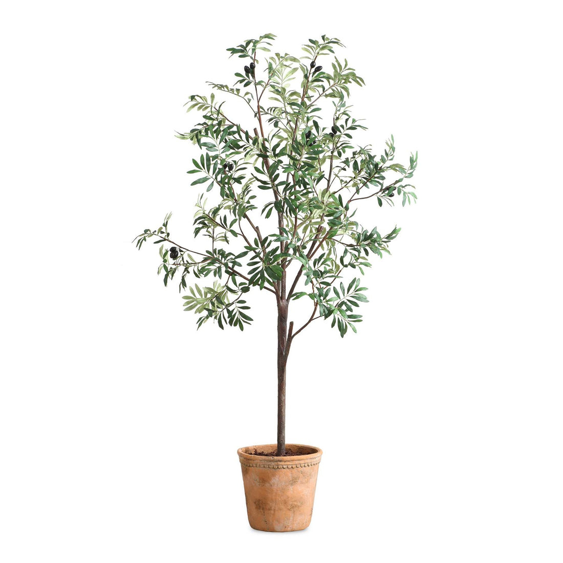 UTTERMOST Olea Potted Olive Tree - Decorative Accents