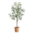 UTTERMOST Olea Potted Olive Tree - Decorative Accents