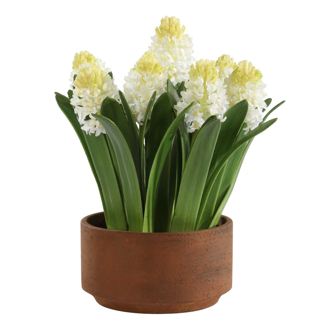 UTTERMOST SINCERITY POTTED HYACINTH PLANT - Decorative Accents