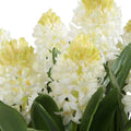 UTTERMOST SINCERITY POTTED HYACINTH PLANT - Decorative Accents