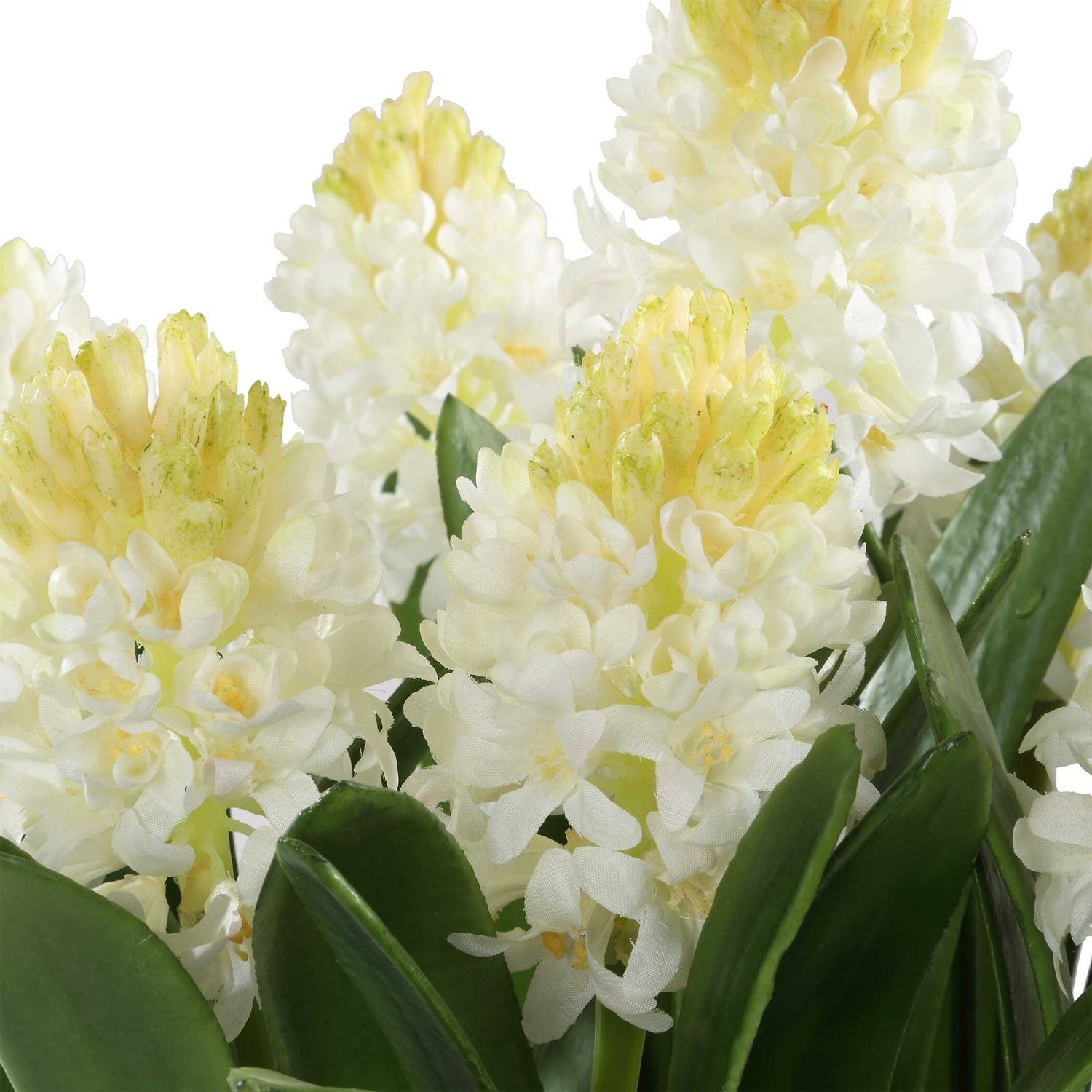 UTTERMOST SINCERITY POTTED HYACINTH PLANT - Decorative Accents