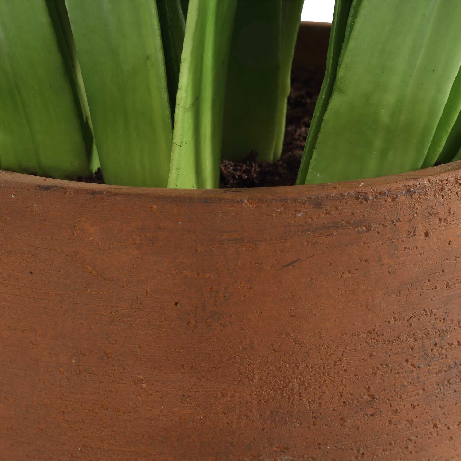 UTTERMOST Sincerity Potted Hyacinth Plant - Decorative Accents