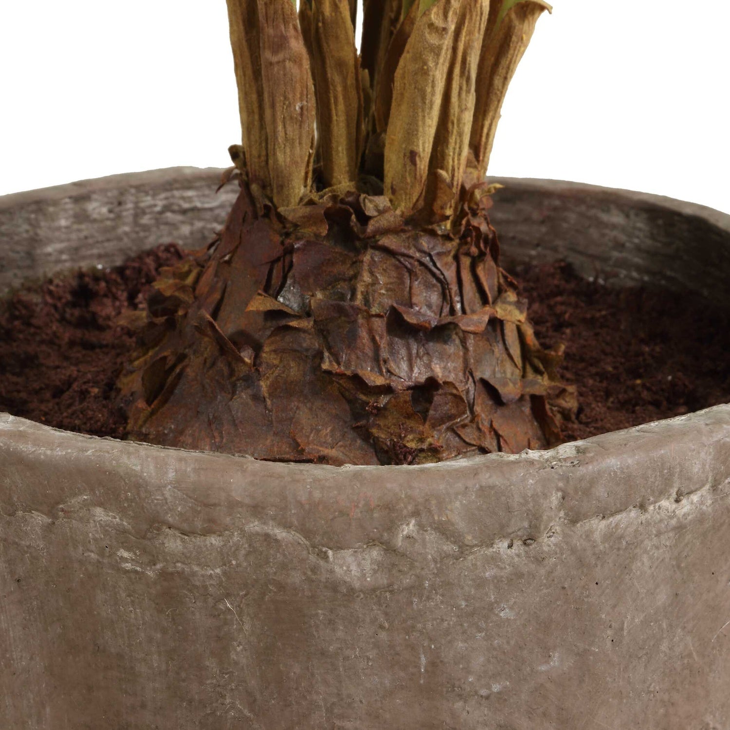 UTTERMOST Zamia Palm Accent - Decorative Accents