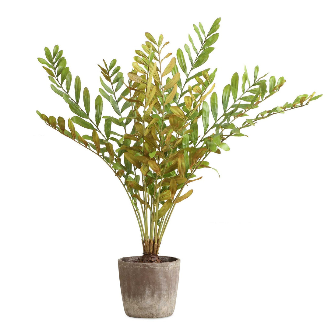 UTTERMOST Zamia Palm Accent - Decorative Accents