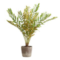 UTTERMOST Zamia Palm Accent - Decorative Accents