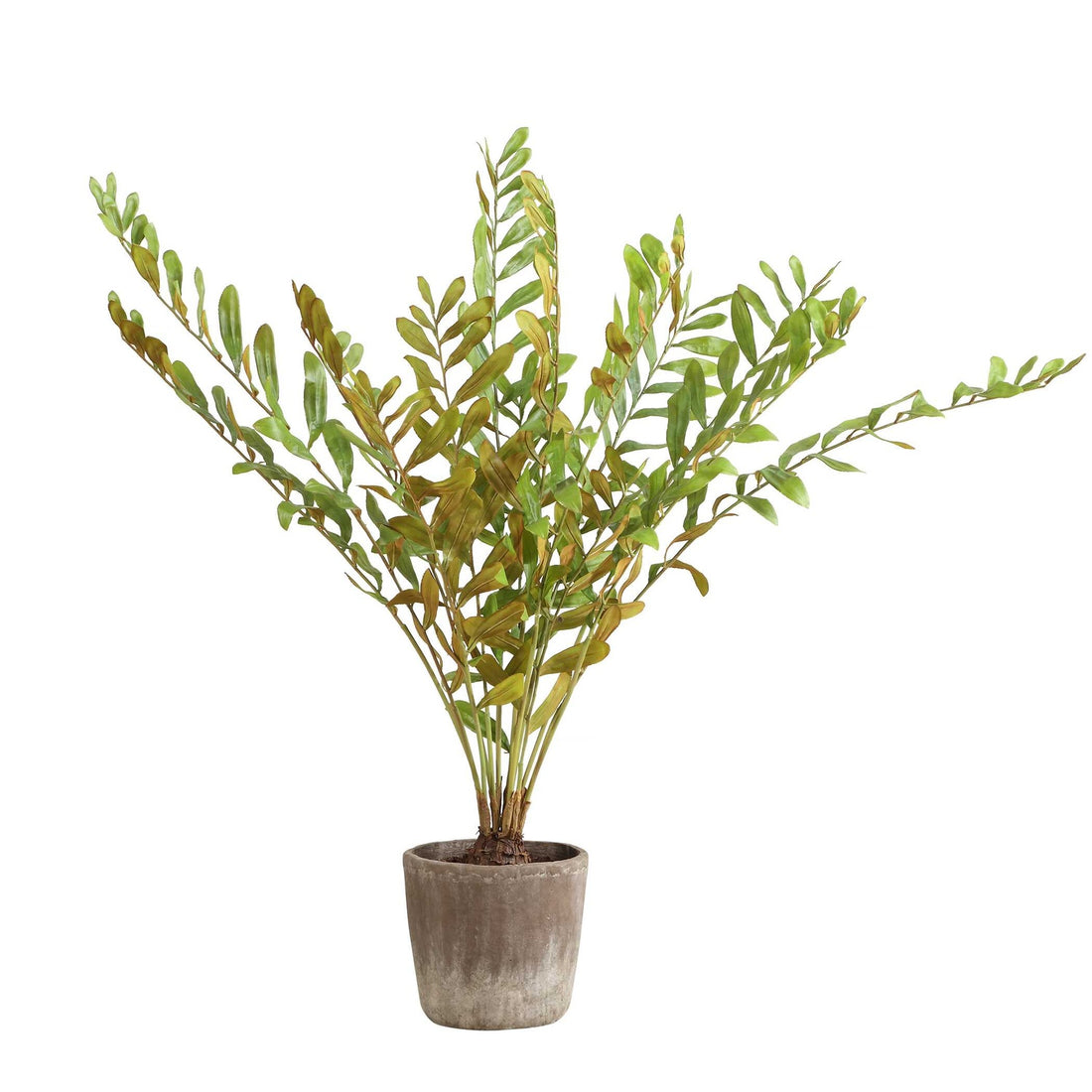 UTTERMOST ZAMIA PALM ACCENT - Decorative Accents