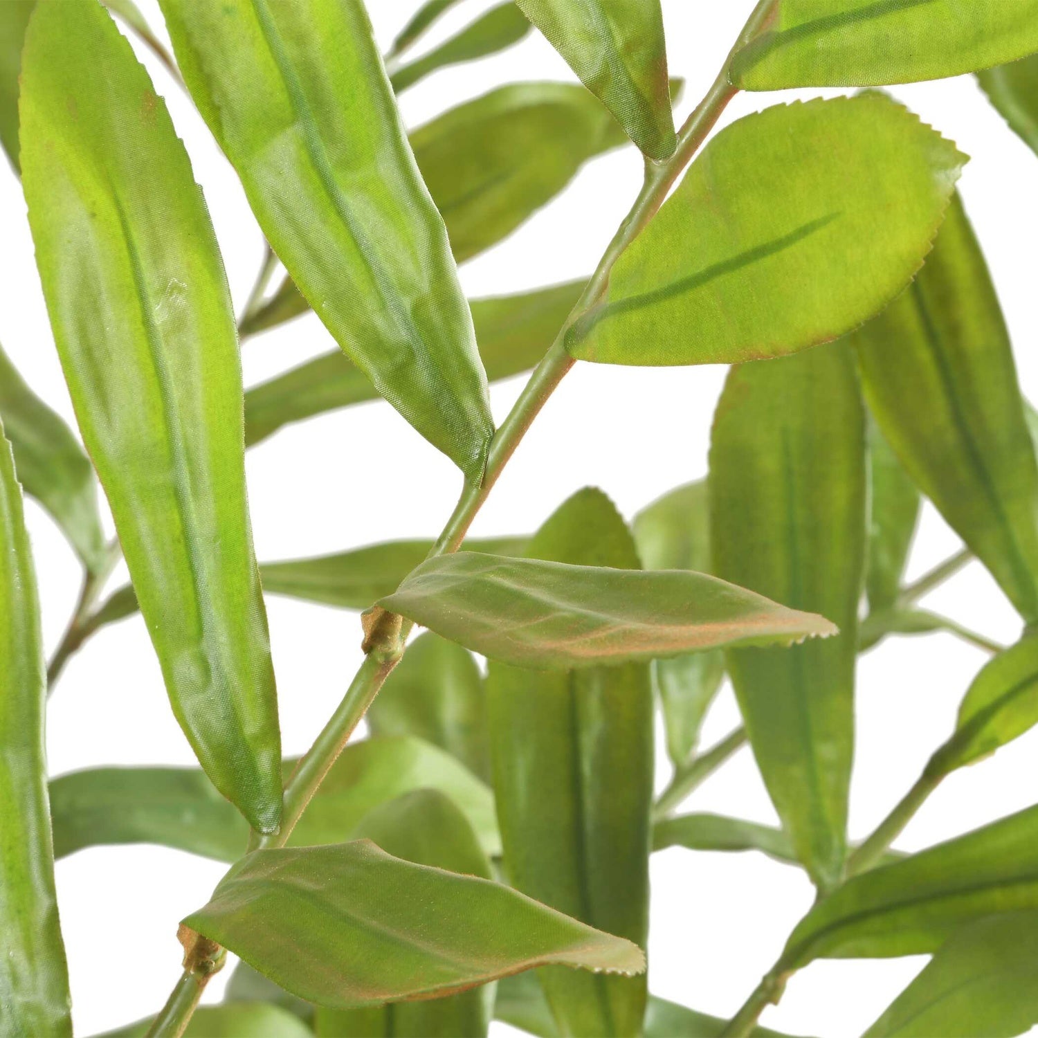 UTTERMOST ZAMIA PALM ACCENT - Decorative Accents